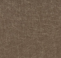 Линолеум Forbo Eternal Material 13762 brushed bronze фото 1 | FLOORDEALER